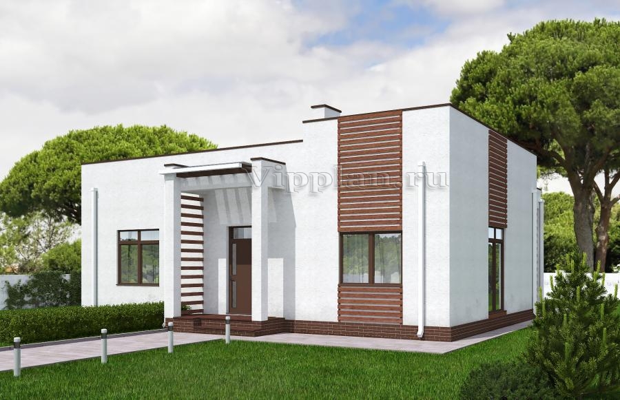 Одноэтажный дом с террасой и плоской крышей