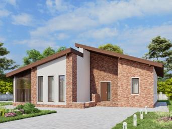 Одноэтажный дом с террасой и подвалом